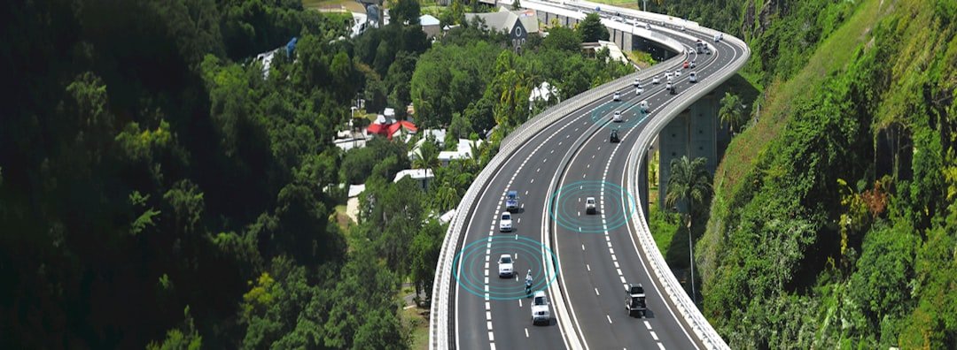 an aerial view of a highway in the middle of a forest