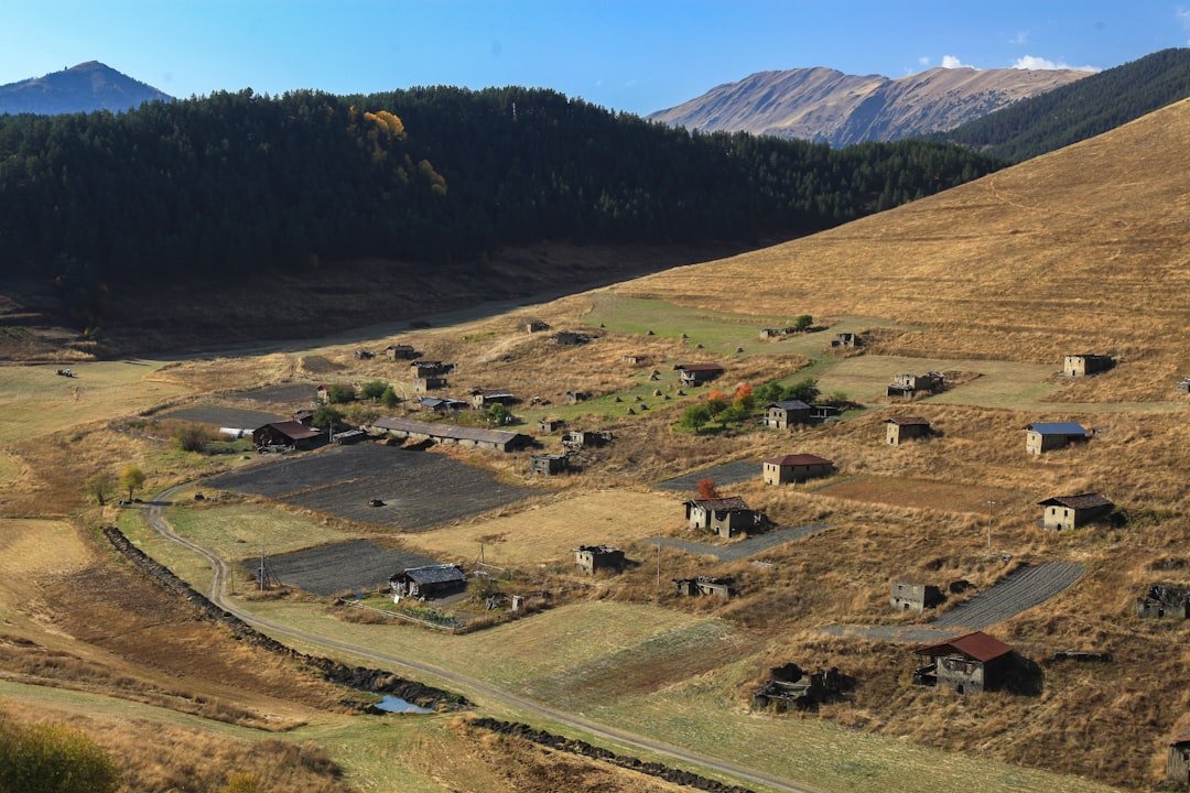 a valley with houses and mountains in the background