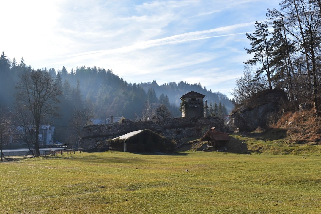 a grassy field with a building in the background