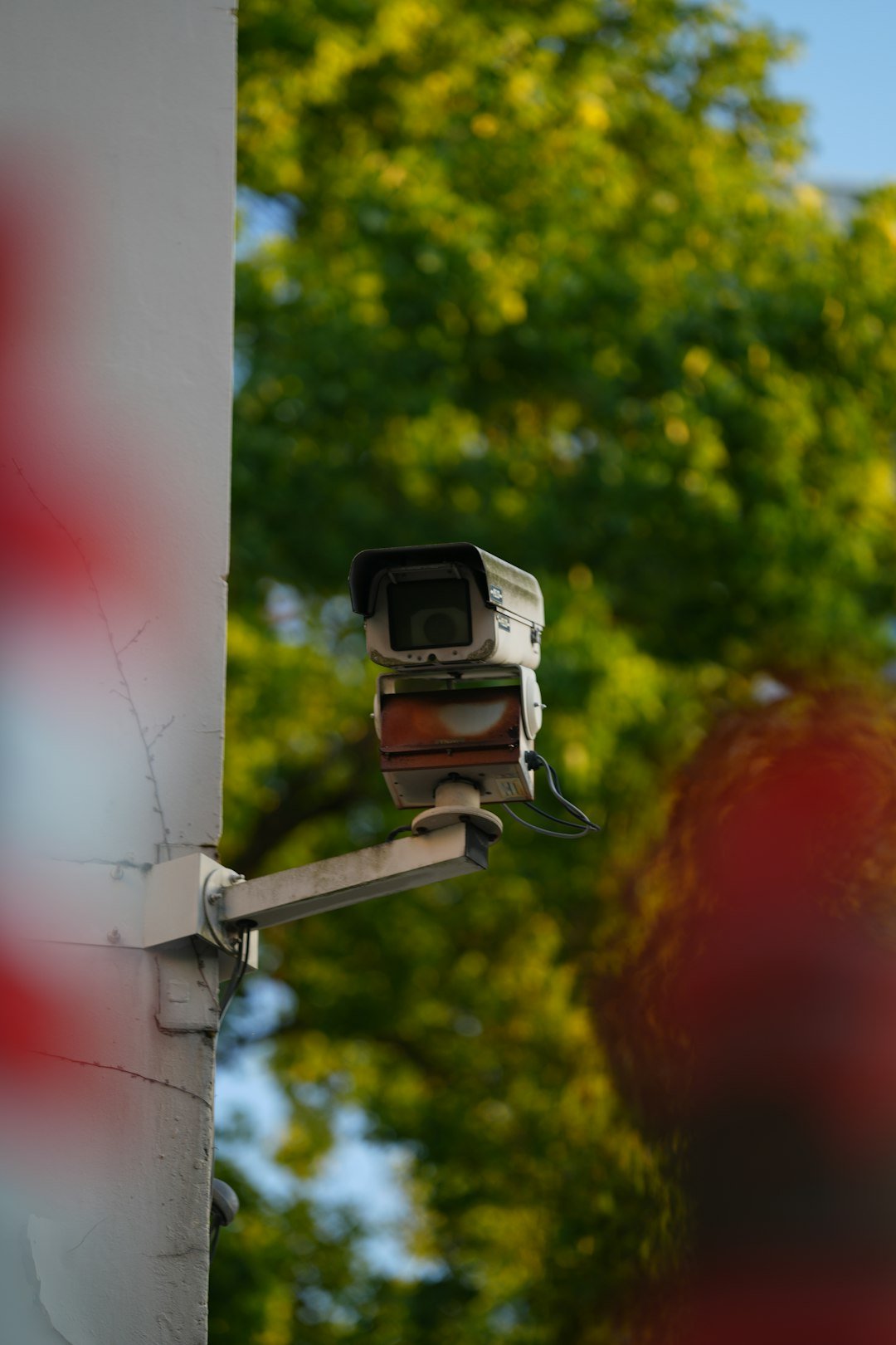 Security camera mounted on a pole with trees behind.